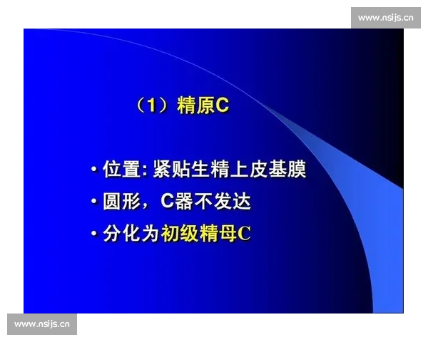 男科健康管理与常见疾病预防指南全面解析男性生殖系统的保健与治疗措施